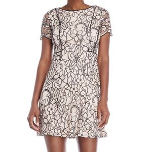 Women’s Kensie Dress.